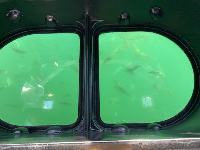 Long Beach Glass Bottom Boat