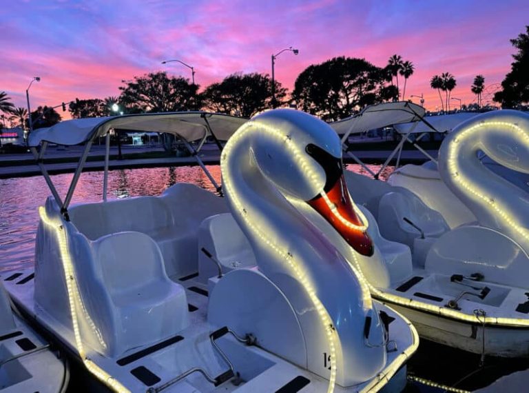 Swan Boat Rentals in Downtown Long Beach 768x570
