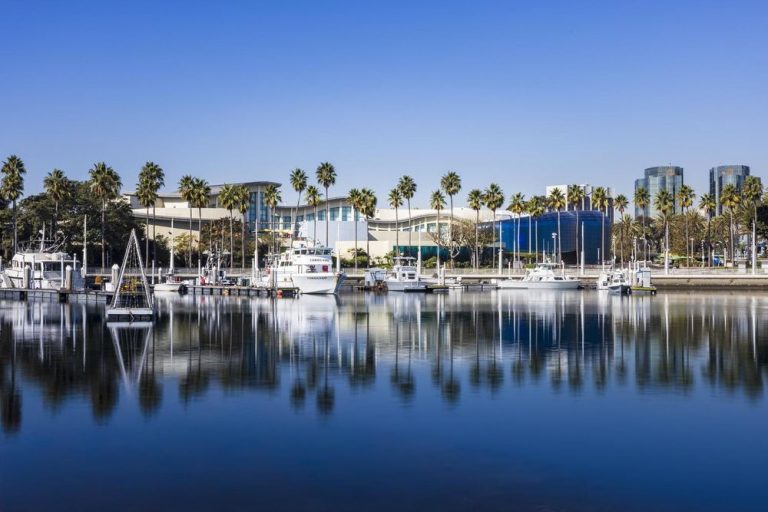 aquarium of the pacific long beach 768x512
