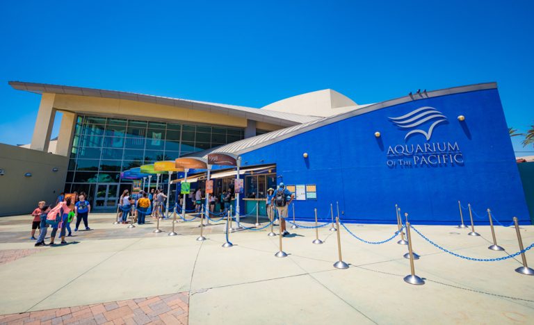 aquarium of the pacific long beach ca2 768x468
