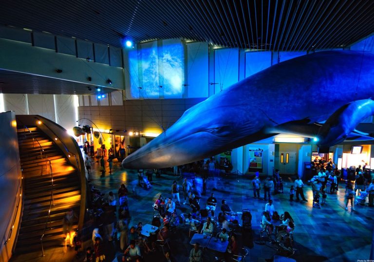 aquarium of the pacific long beach ca2 768x538